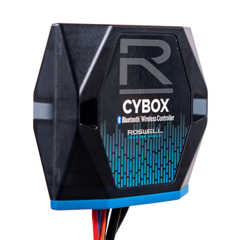 Roswell Cybox 2.0 Bluetooth Streaming Interface