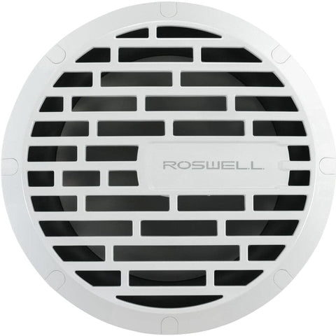 Roswell R1 10" Subwoofer